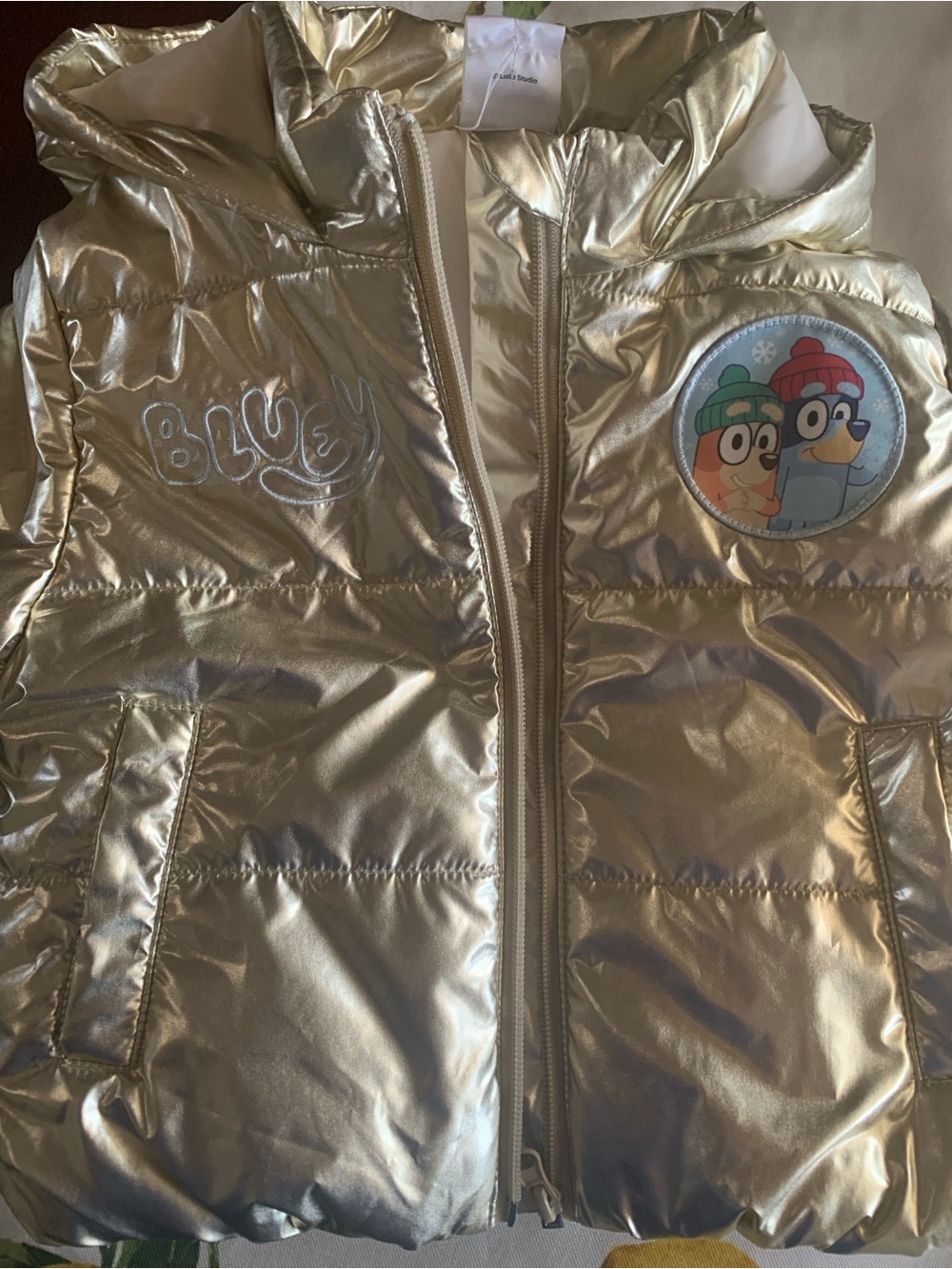 Bluey Toddler Metallic Gold Hooded Puffer Jacket with Bluey Patch